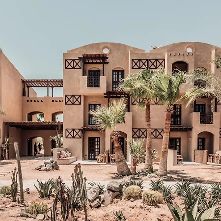 Cook'S Club El Gouna (Adults Only)-3